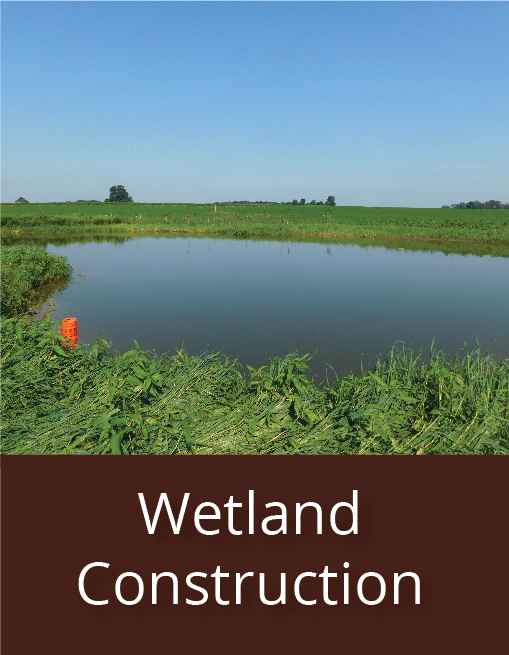 link to wetland construction