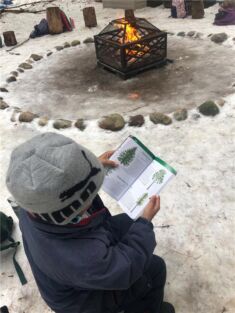 A boy looks through a tree identification book near a campfire
