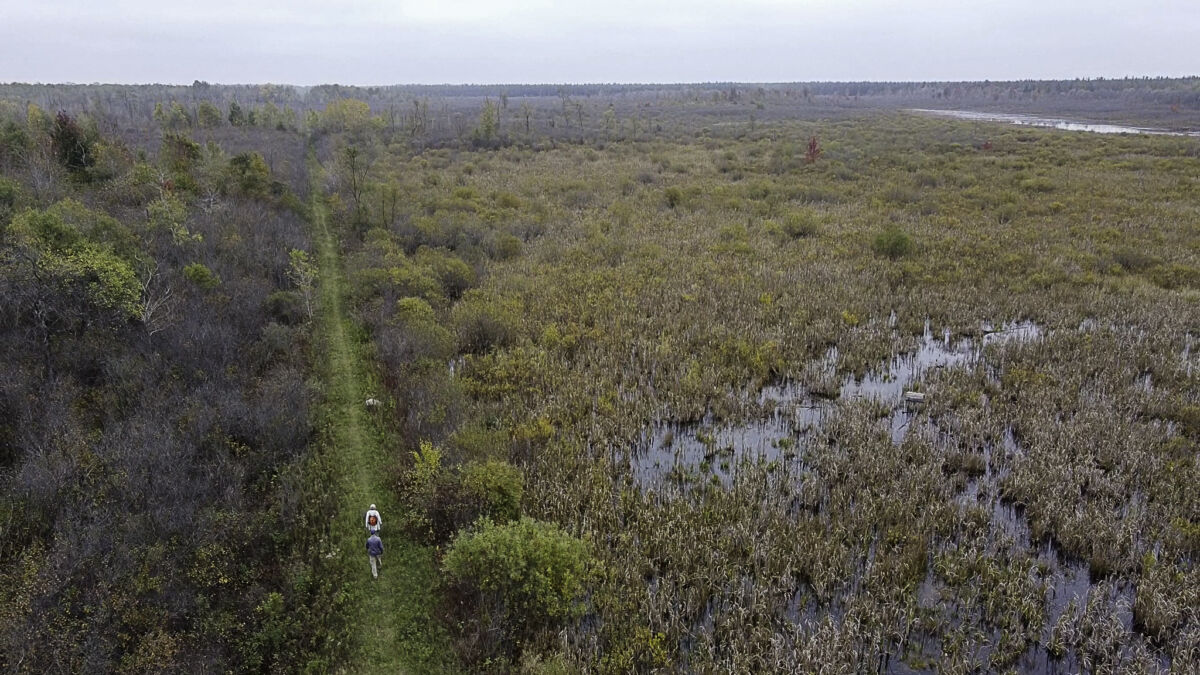 Ellice Swamp - Upper Thames River Conservation Authority