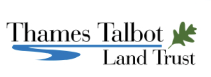 TTLT Logo